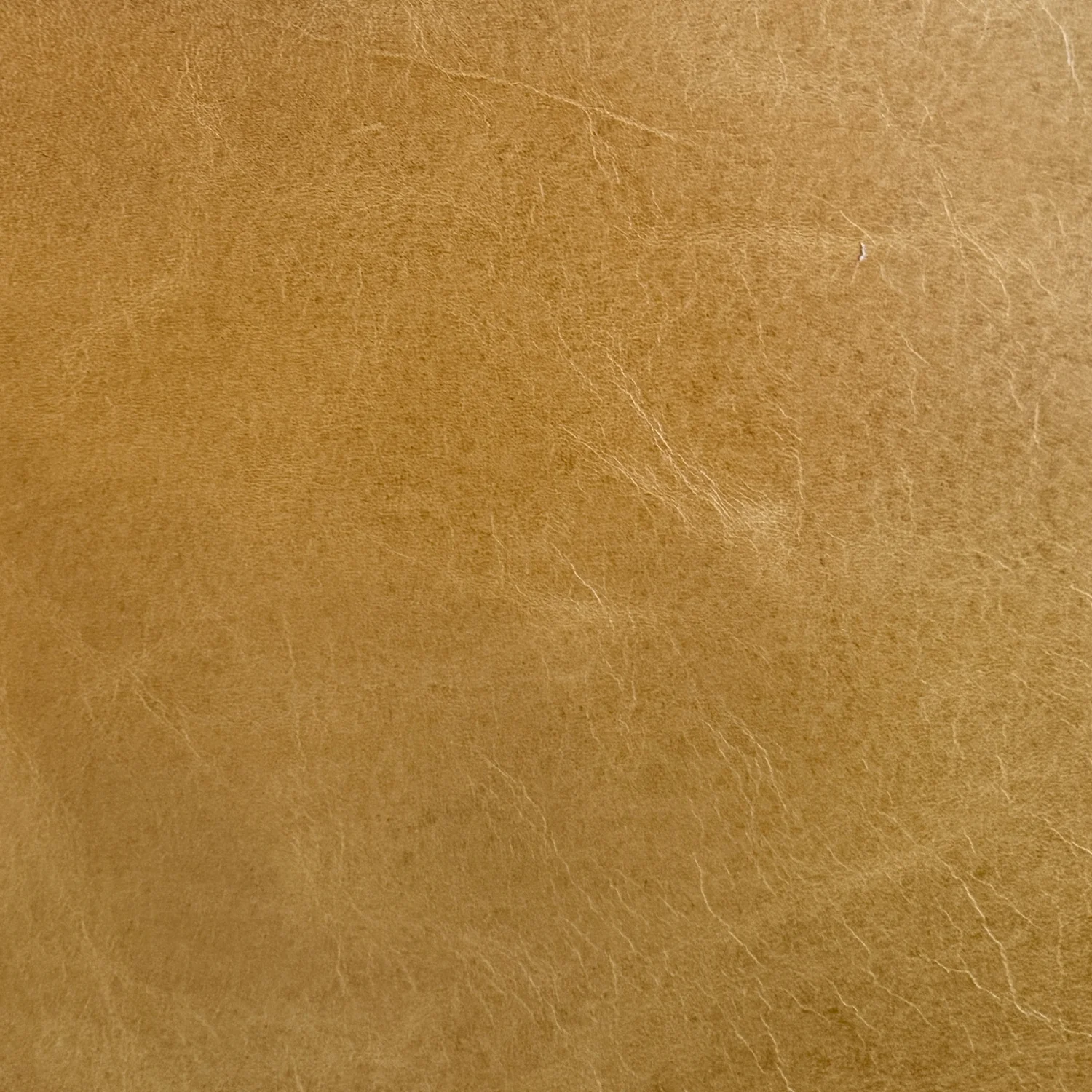 Aniline Leather Swatches - Image 5
