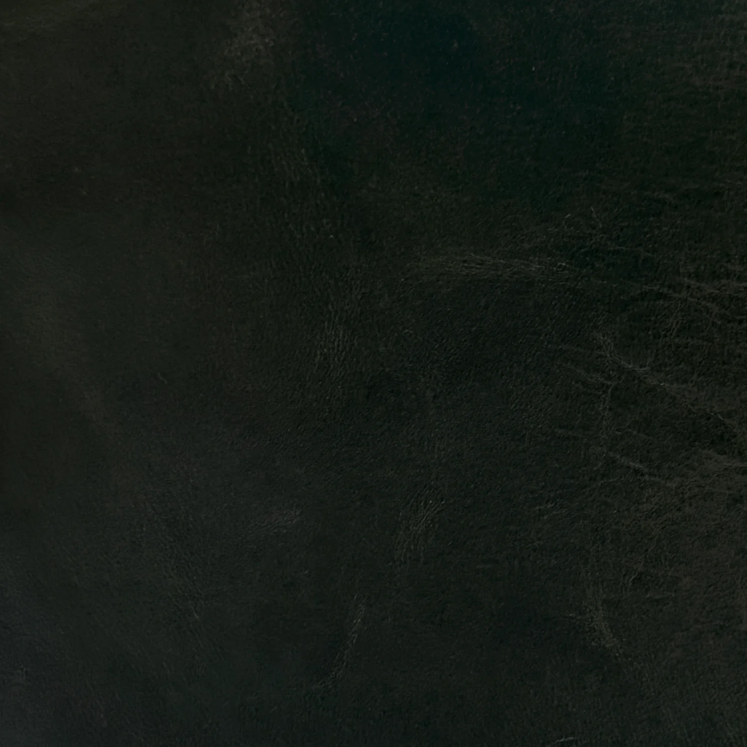 Aniline Leather Swatches - Image 6