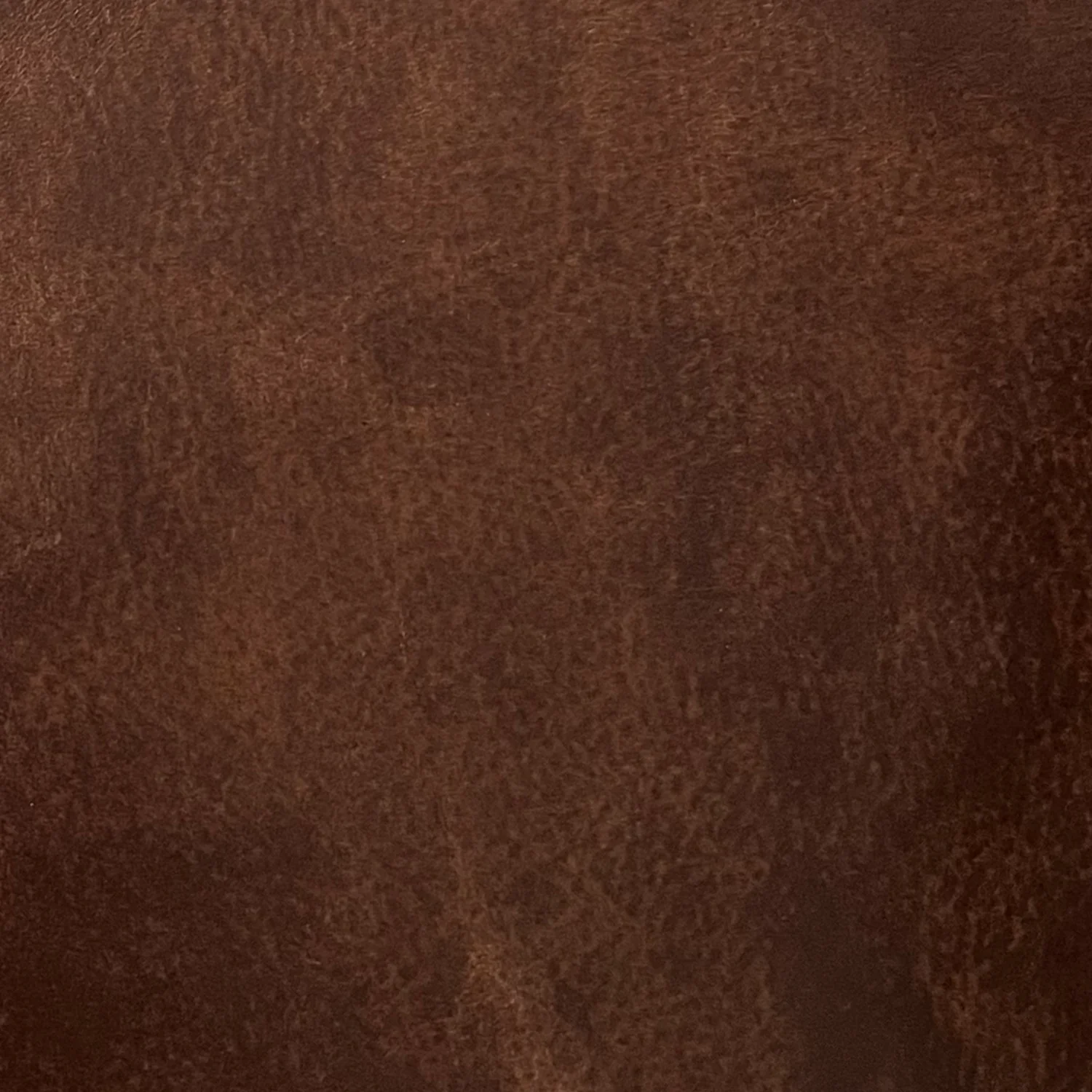 Aniline Leather Swatches - Image 7