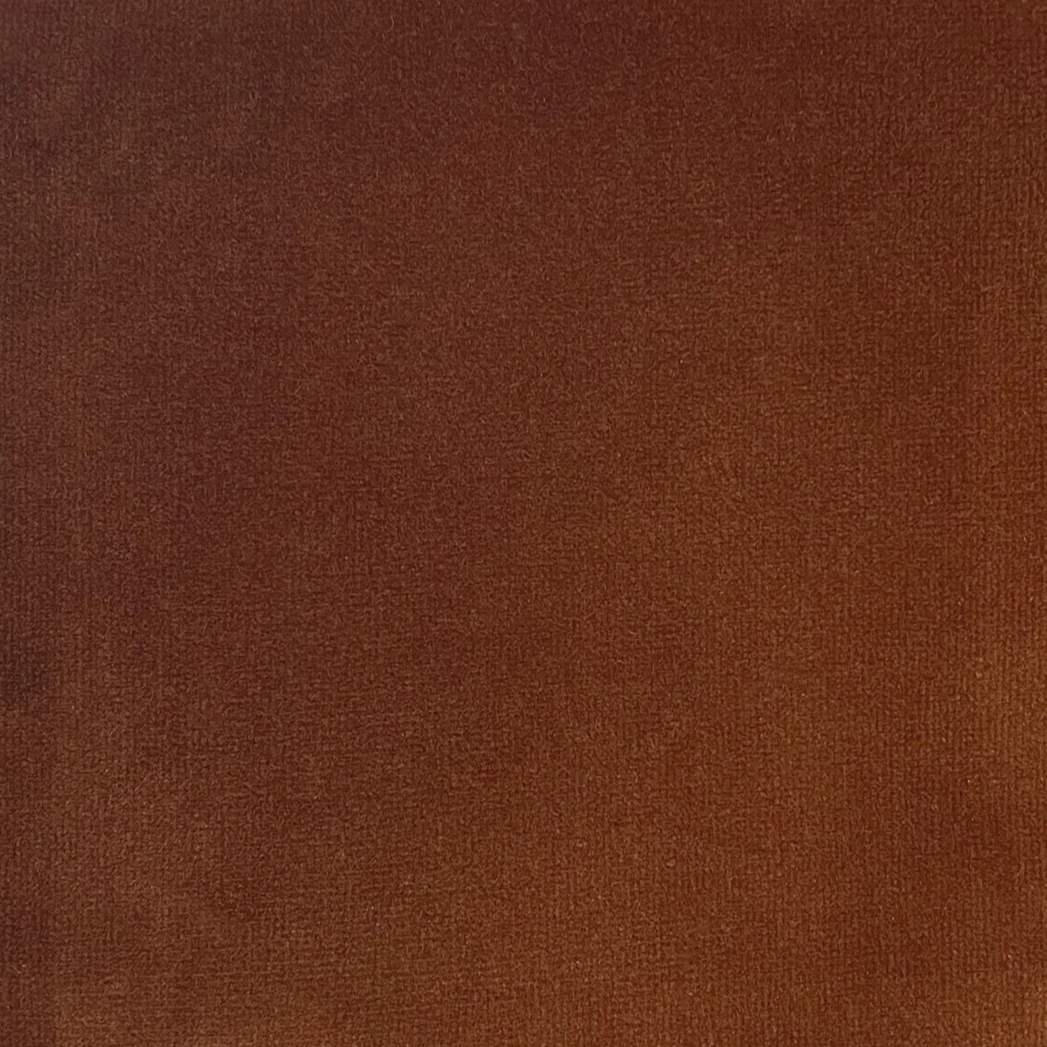 Cotton Velvets - Image 2