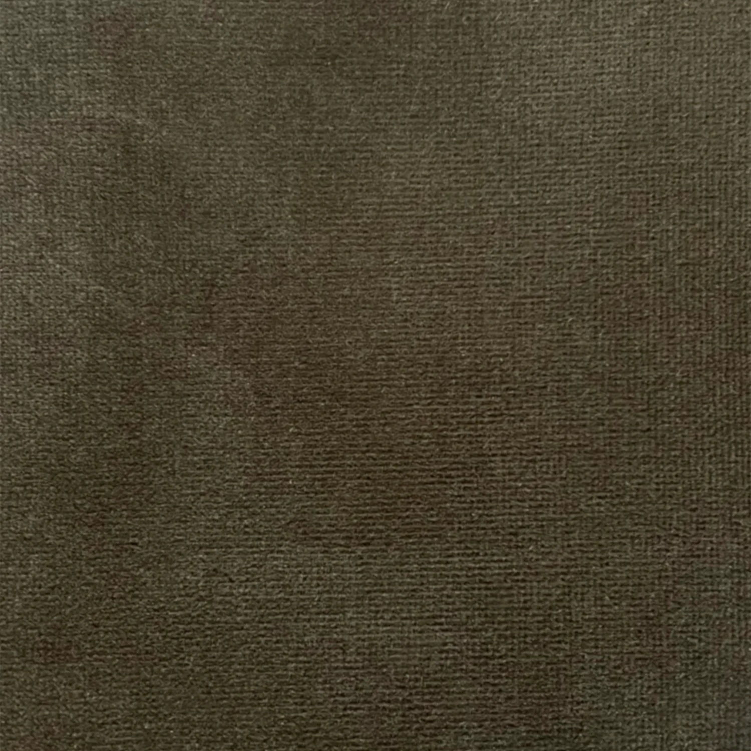 Cotton Velvets - Image 4