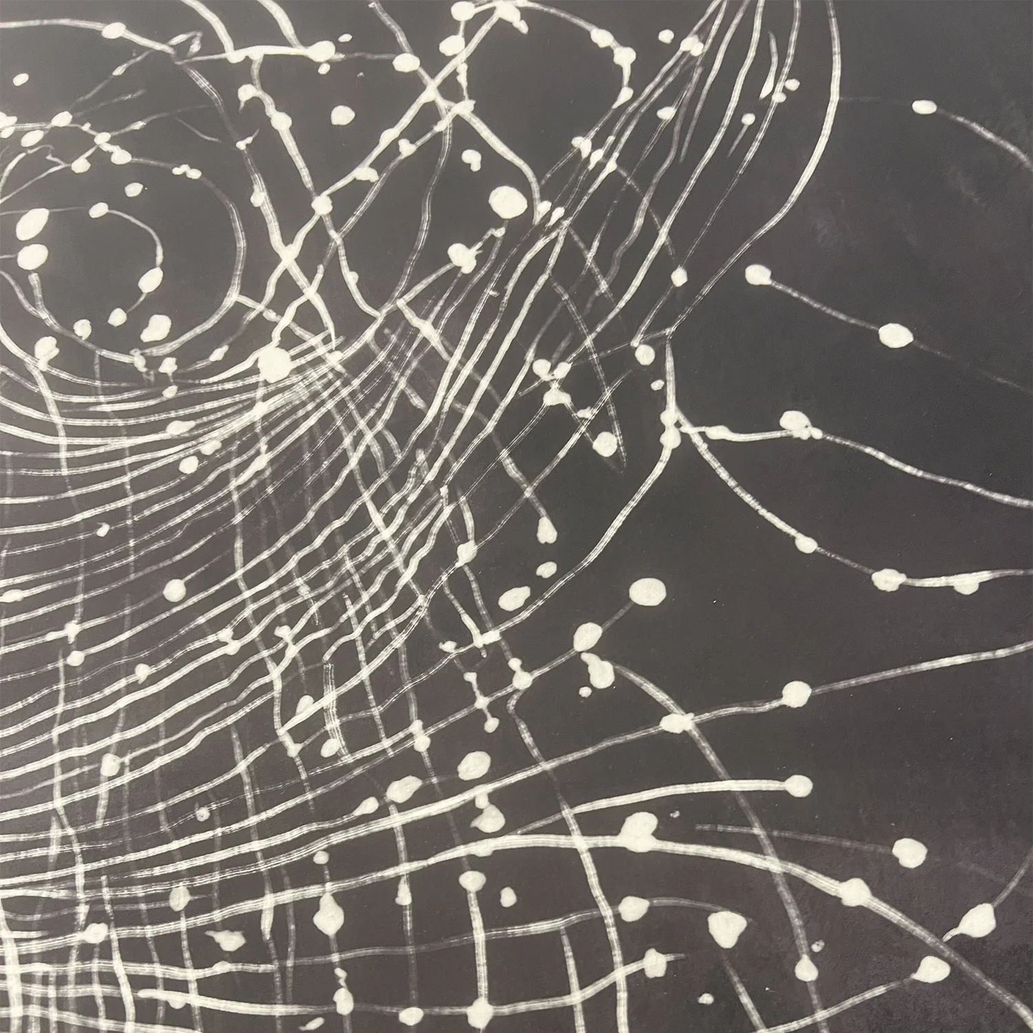 Les Étoiles Limited Edition Art Print - Image 5