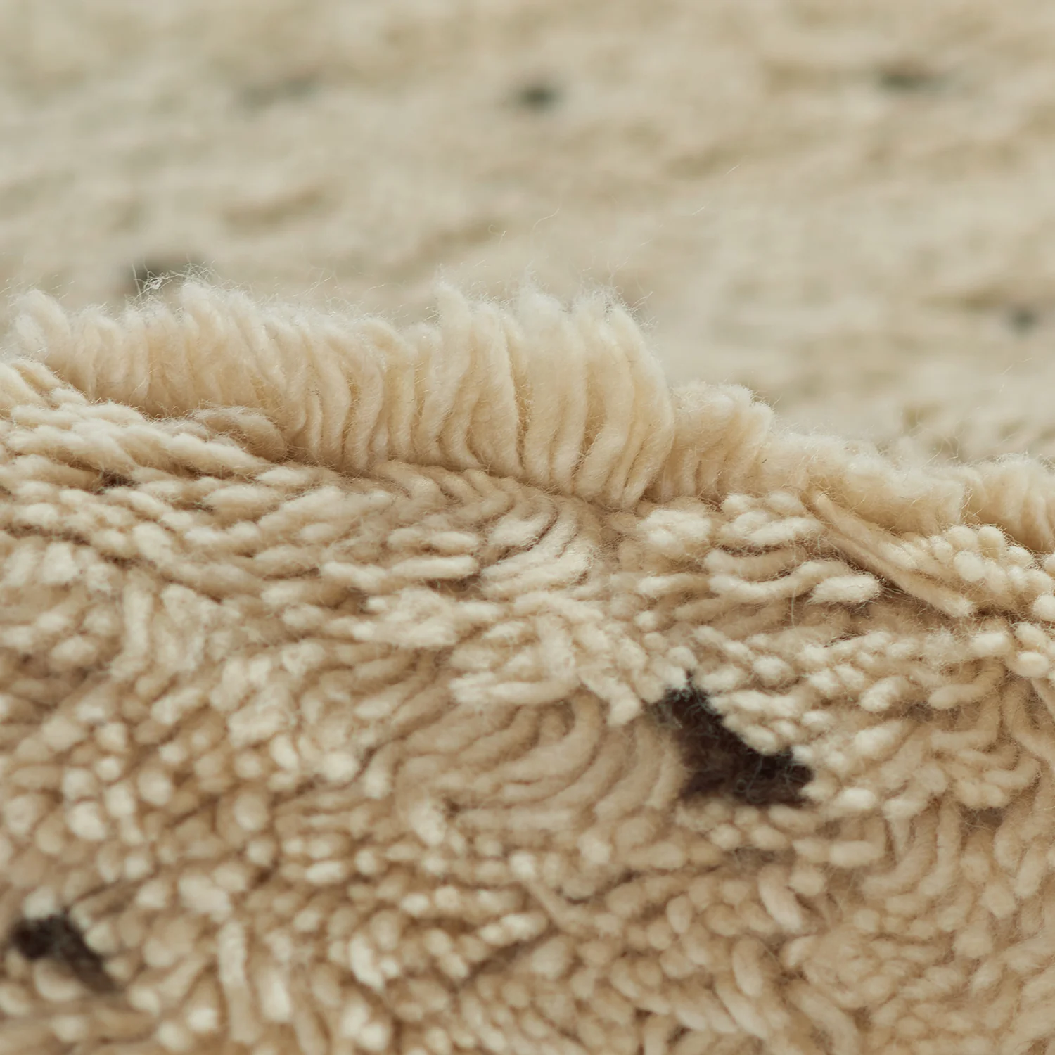 Roanne Renee Rug (Ivory) - Image 2